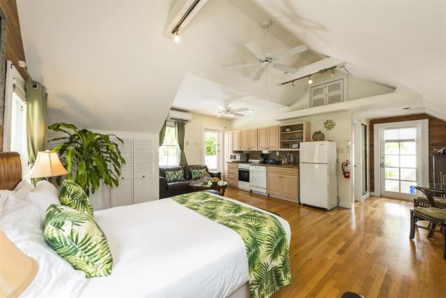 Treetop Oasis Eyebrow House