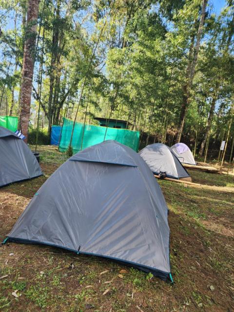 SafarnamaStays Ziro Music Festival Camping