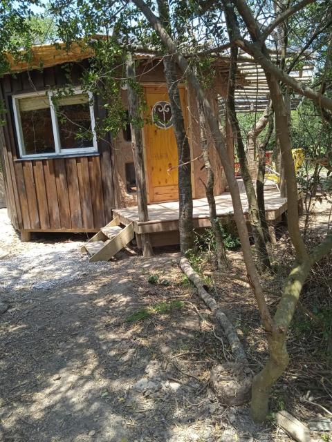 Peaceful cabin in the woods