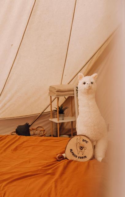 Privé Alpaca Glamping Hoogstraten