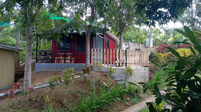 Amadeo Springs Cabin
