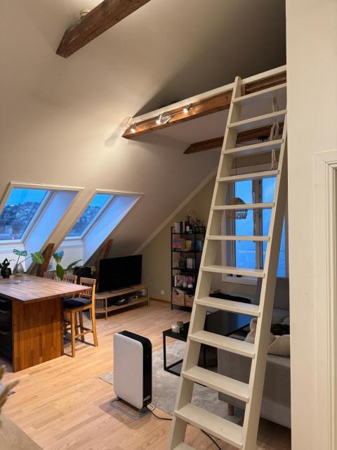 Unik leilighet midt i Narvik