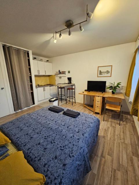 Appart 28m2 Metz Canal équipé meublé Wifi
