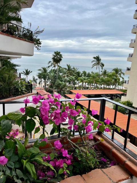 Sunny Jr Suites in the heart of Puerto Vallarta