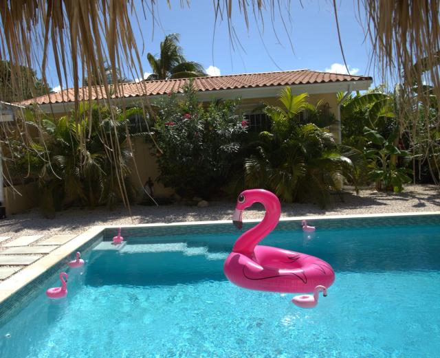 Villa Dushi Arembos, 6 persons, private pool, comfortable car, tropical garden