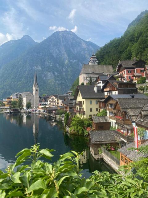 Nest Salzkammergut- Cozy Stay in Bad Aussee, Near Hallstatt - Garden & BBQ