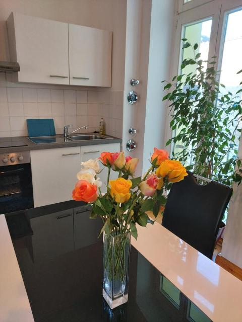 Superapartments in Potsdam