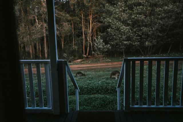 Two Brothers' Cabin