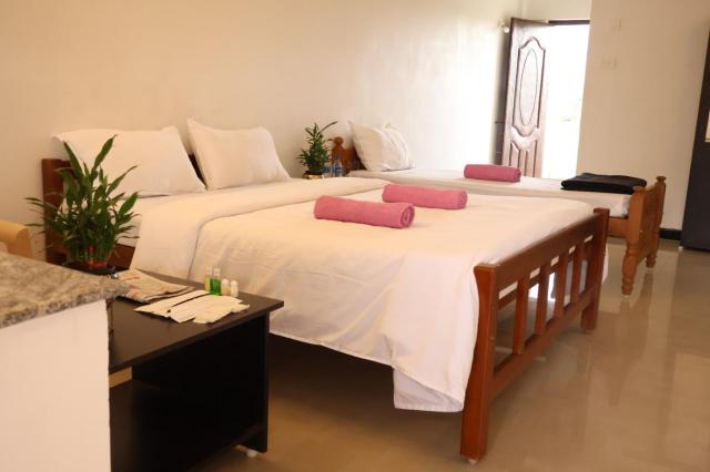 THE MOUNT VIEW CASTLE HOTELS and RESORTS