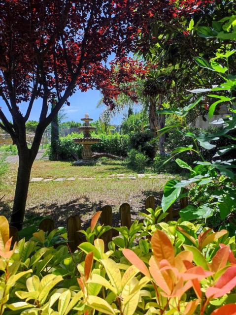 Les moreres a space for tranquility