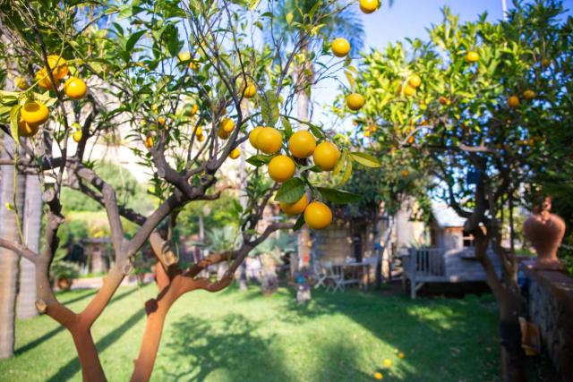 Villa Caterina - Solemar Sicilia