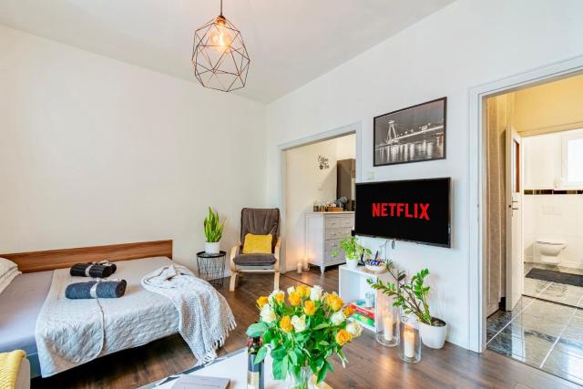Castle Cozy Apartment