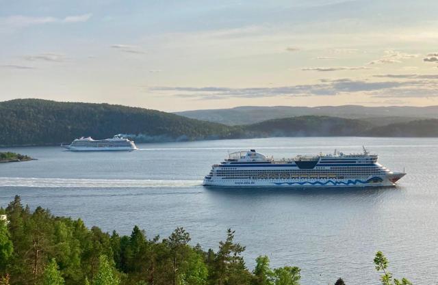 Charming Drøbak cabin breathtaking fjord views