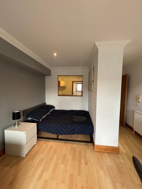 Studio Apartment 5 with balcony and river view