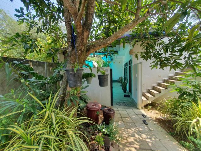 New Happy House Mirissa