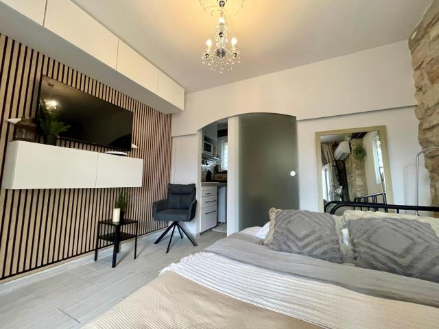 Villa AMore Radini Istrian stone house Studio with private parking and terrace