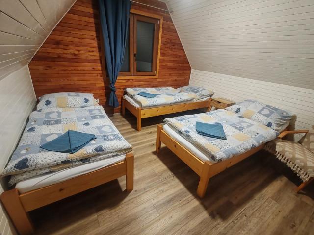 Cabin near forest