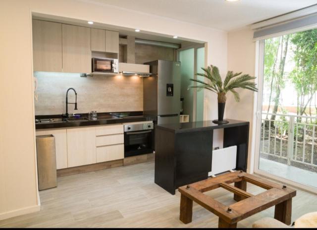 Arriendo departamento full equipado en Pucón