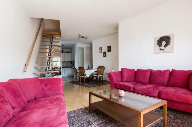 Penthouse by the Danube