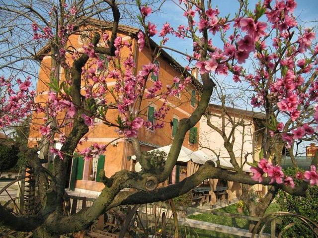 Agriturismo Praetto
