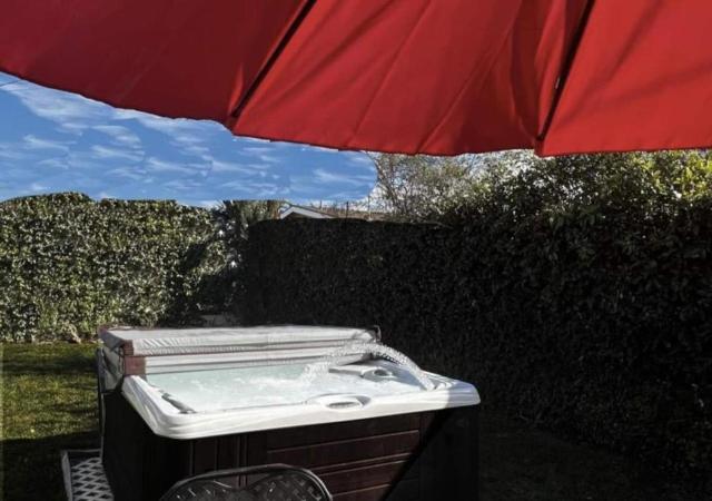 Tiki House and Spa - Walking Distance to Dsineyland