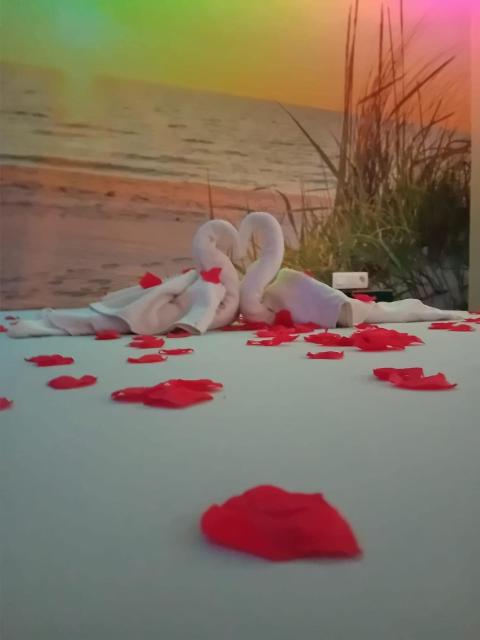 Bulles d evasion