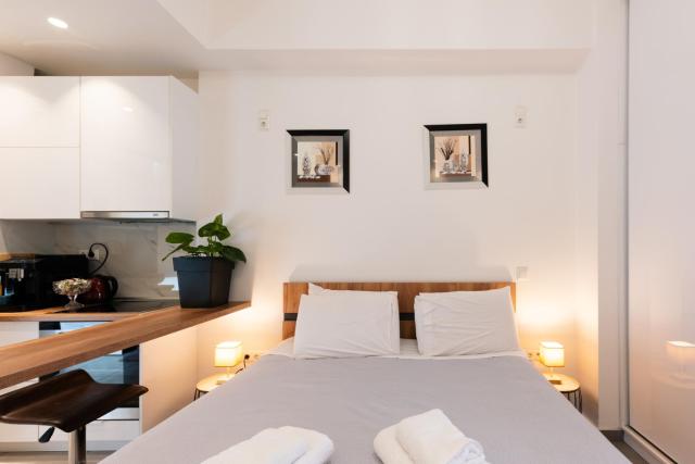 Modern studio apartment A