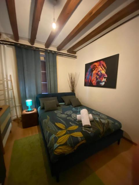 Montreux centre appartement avec vue lac