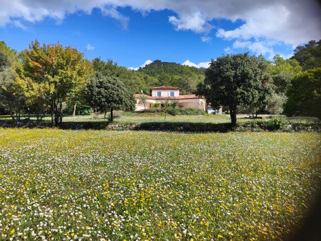 villa Simone