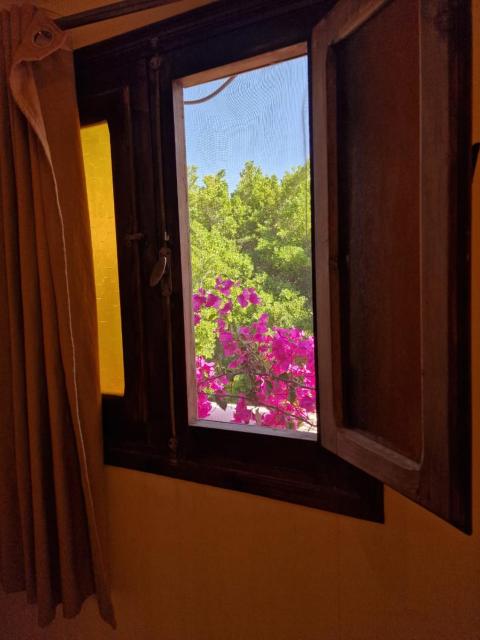 Wanas hostel