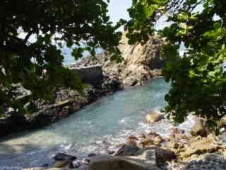 cocos camp