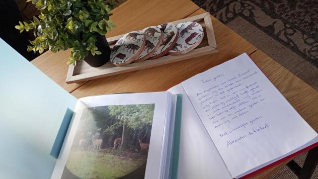 Veluwepark Reewold #Chalet Buizerd# tussen het bosrijke Putten en Garderen