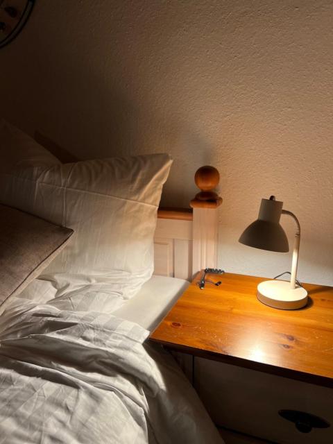Minimalist Cozy Apartment near Frankfurt