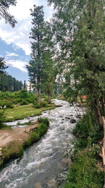 Forest Cabin Stay in Doodpathri - Perfect for Couples, Bonfire, BBQ