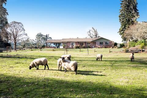Four Wheels Farm