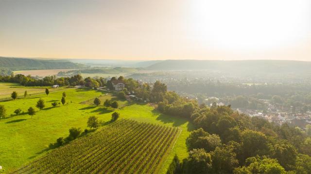 Berghotel Wilhelmsburg