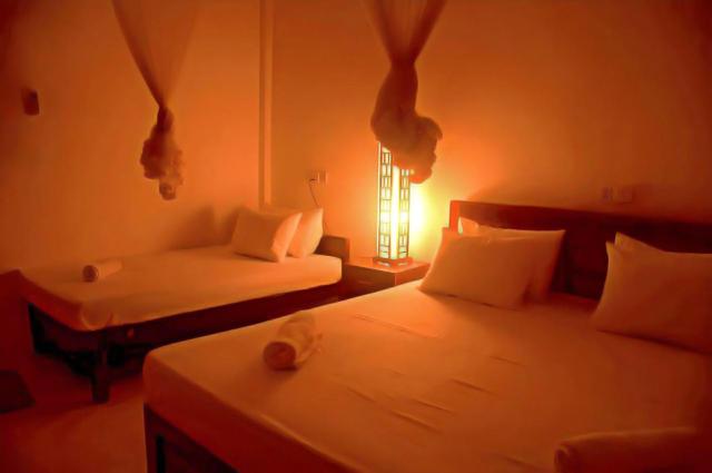 Sparrow House and Safari Resort