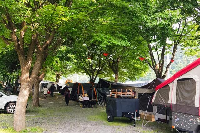 Riverside Forest Pension Camping