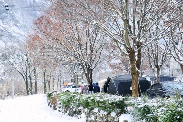 Riverside Forest Pension Camping