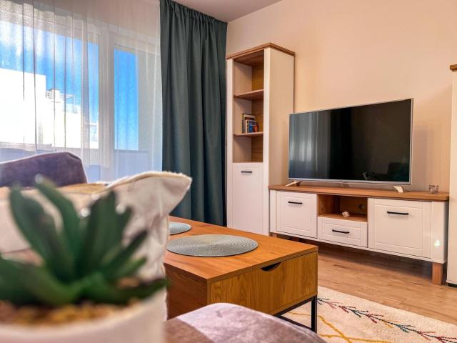 City Studio Coresi