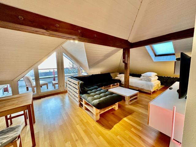 Cosy roof flat close lausanne center - ES