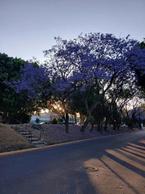 Residencia El navegante 2