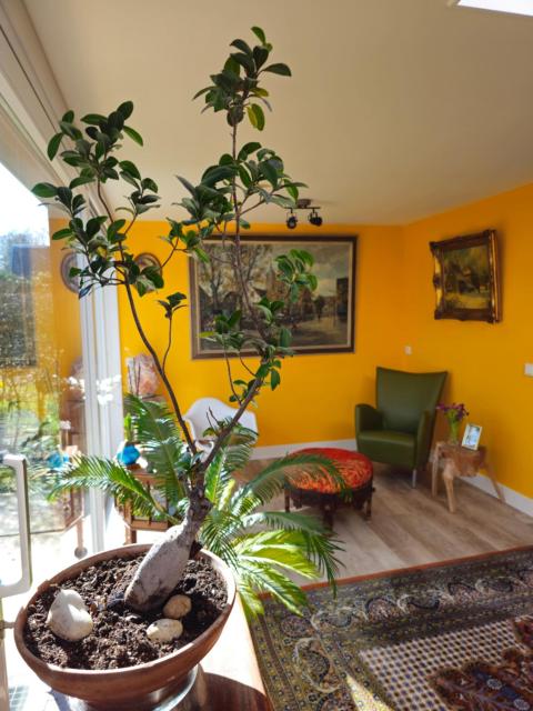 Heidy's Home, with Wellness Facilities