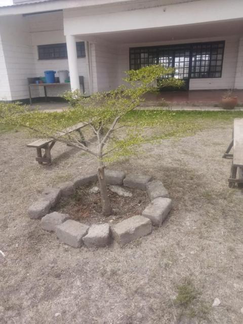 Soles de Africa Lodge