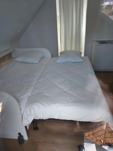 Baradoz