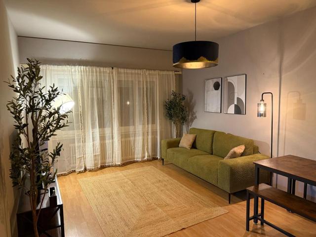 Un cocon cosy en plein Lausanne