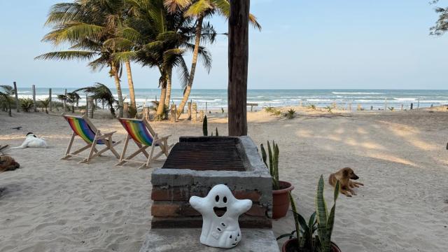 EcoPalapa Mimí