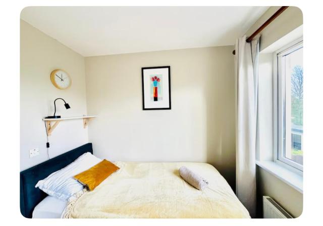 Single room in Family Home