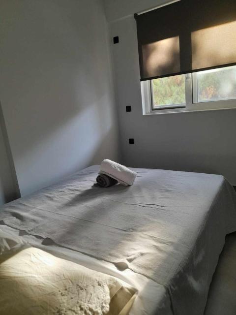 DAFNI Apartment