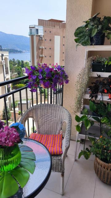 Centre Budva Green